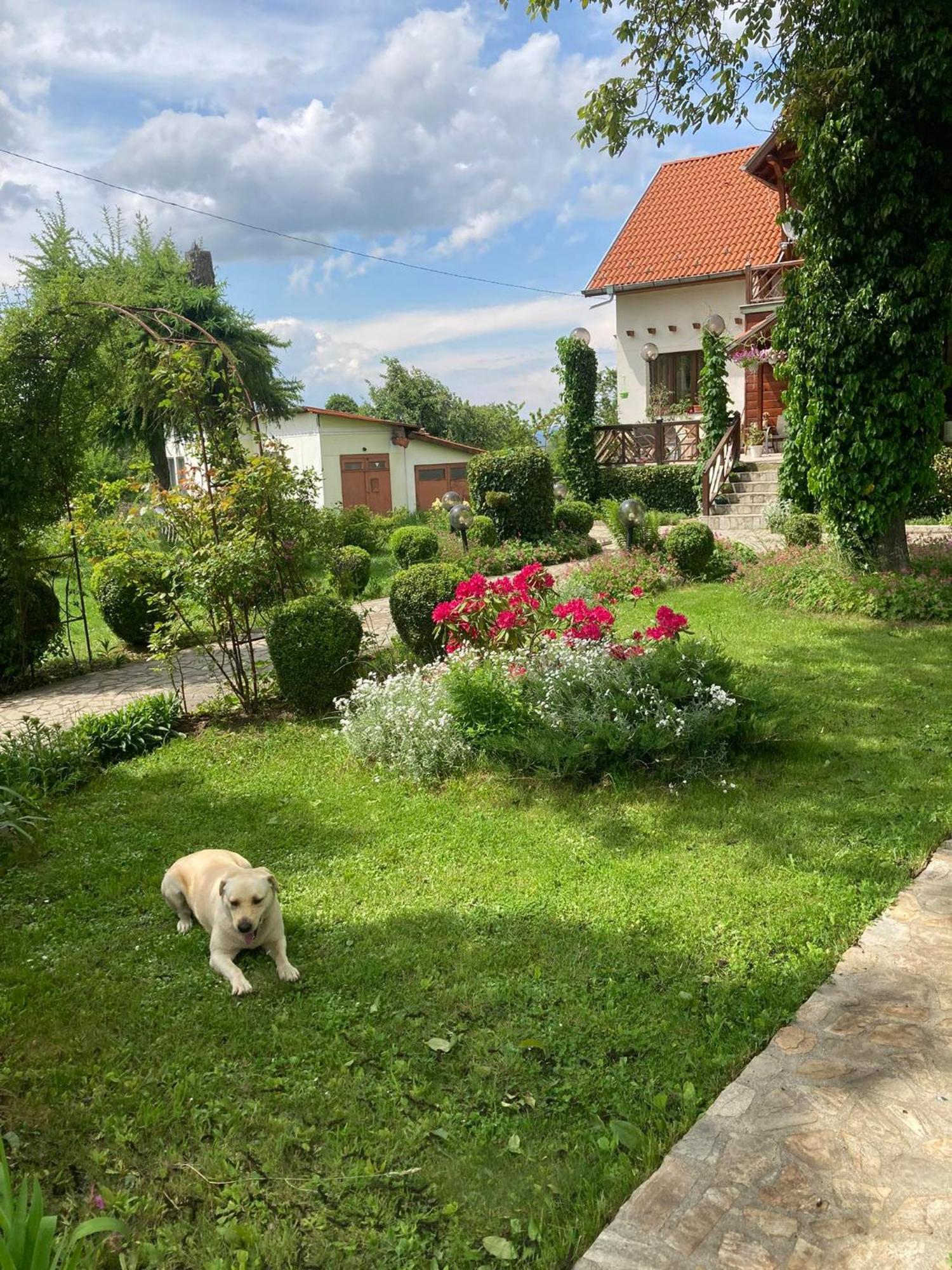 Orehite Guest House Samokov Bagian luar foto